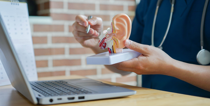 close up professional audiologist explaining and to patient by pointing to human ear anatomy model